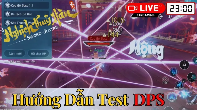 Nghịch Thủy Hàn — Cách kiểm tra DPS chính xác 100% (PCNET)